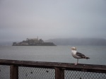 Alcatraz
San Francisco, Alcatraz