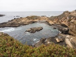 Point Lobos