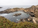 Point Lobos
Big Sur, California