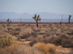 Desierto de Mojave