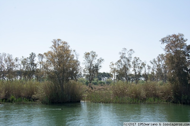 Un fin de semana magnifico - Un paseo por el  Delta del Ebro (2)