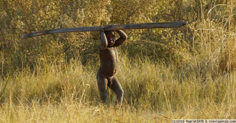 Viajar a  Botswana: Viajes Con Niños - El rey del delta del Okavango (Viajes Con Niños)