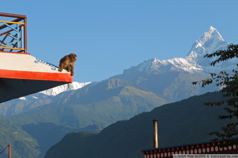 Foro de Pokhara: Contemplando las montañas desde el monasterio Pema