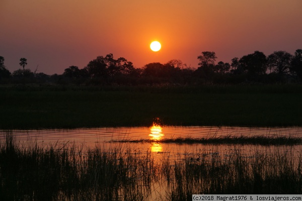 Atardecer en el Delta del Okavango.
Puesta de sol espectacular en el Delta del Okavango, Botswana
