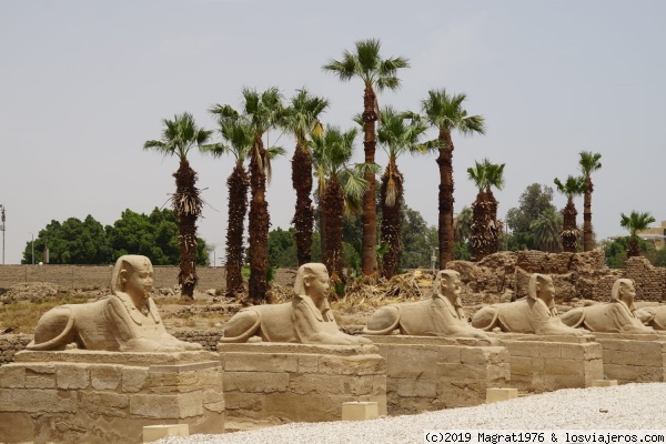 Avenida de las esfinges frente al templo de Luxor
Zona de la avenida de las esfinges más cercana al templo de Luxor
