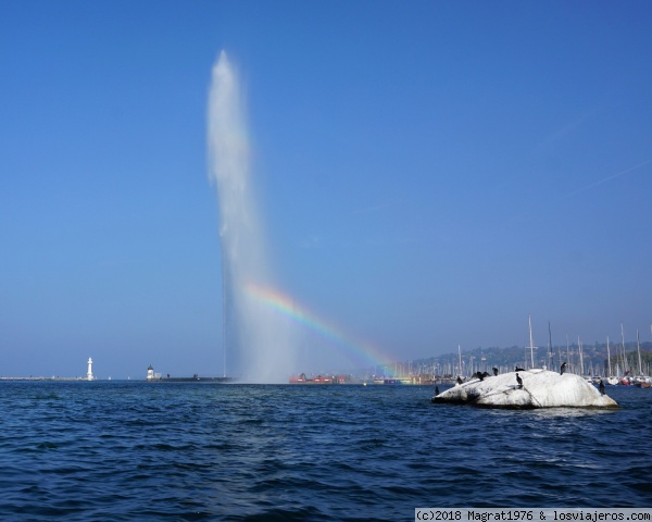 Arco iris en el Lago Leman
En el famoso Jet d'Eau, el emblemático surtidor de agua de Ginebra, pueden verse bonitos arcoiris, sobretodo por las tardes.
