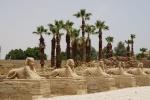 Se desvelan los recién reconstruidos colosos de Ramesses II en Luxor