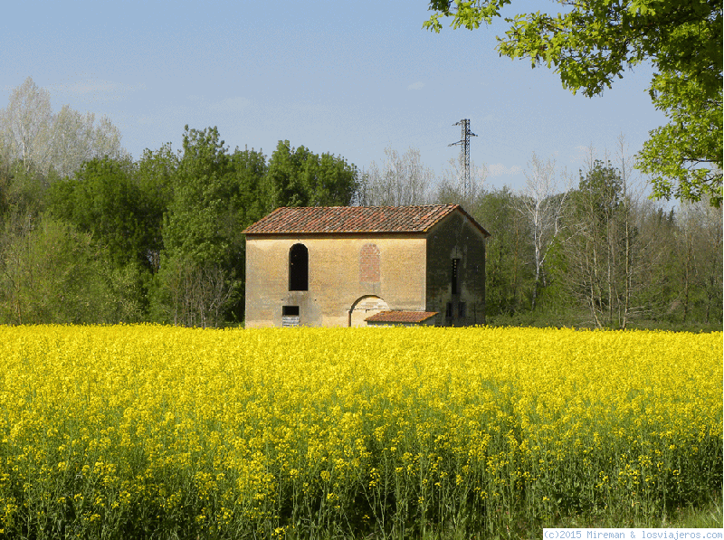Viajar a  Italia: Peajes Italia Florencia - casita entre un campo de flores cerca de florencia (Peajes Italia Florencia)