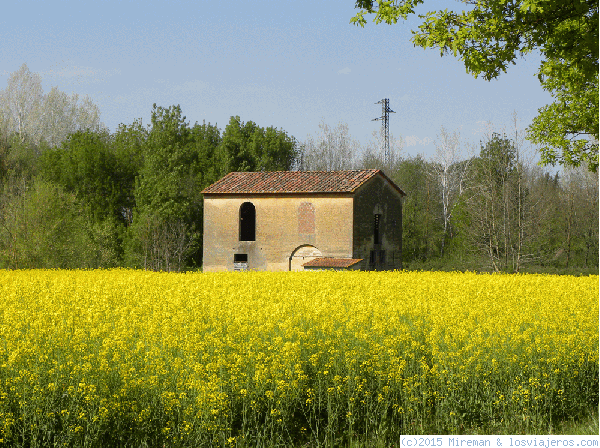 casita entre un campo de flores cerca de florencia
casita entre un campo de flores cerca de florencia
