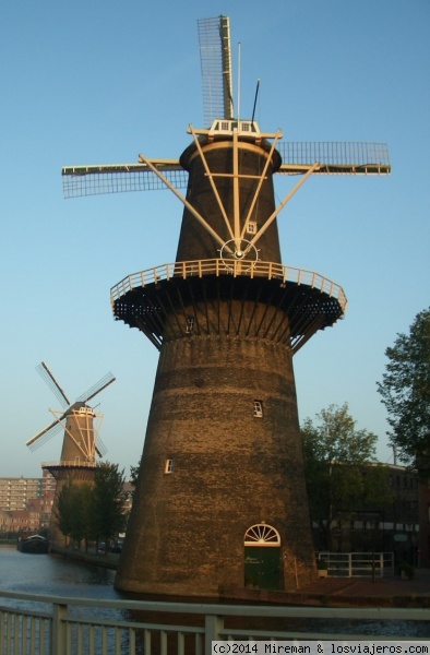 SCHIEDAM molinos
SCHIEDAM molinos
