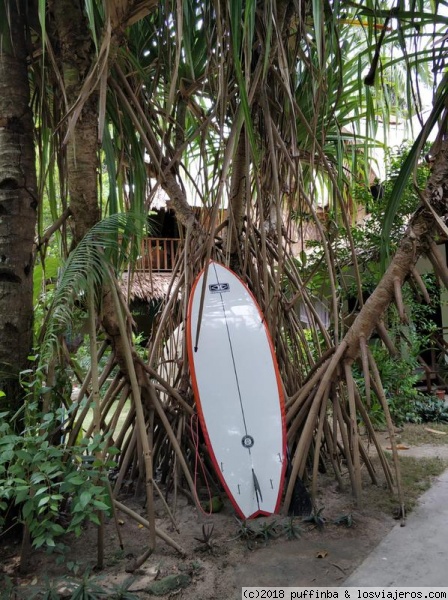 Surfing filipinass
tabla surf filipinas
