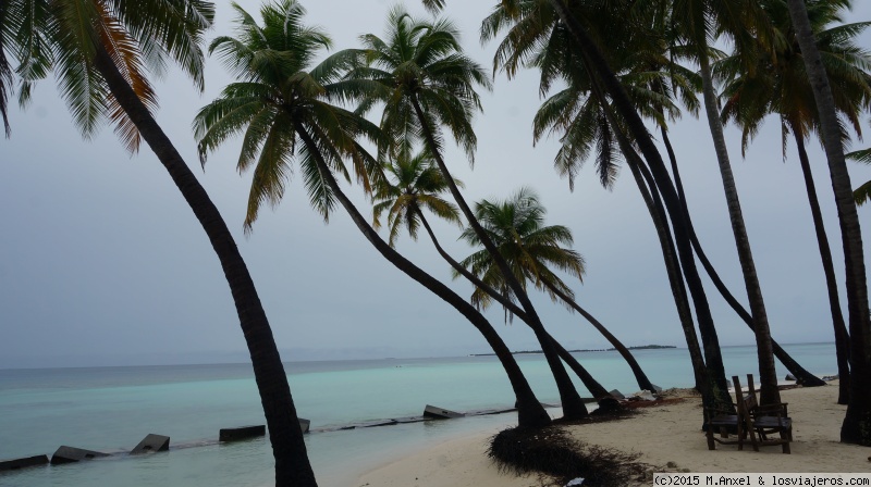 Foro de Comer en Maafushi en India y Nepal: Playa de Maafushi