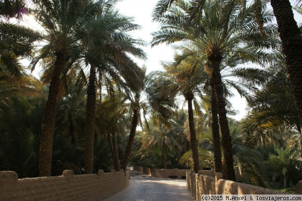 Oasis de Al Ain (Emiratos Arabes Unidos)
Oasis de Al Ain
