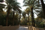 Oasis de Al Ain (Emiratos Arabes Unidos)
AL AIN EAU