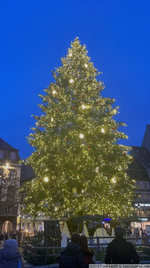 Día 3 (31 de diciembre) Estrasburgo y fin de año en Colmar - Alsacia en fin de año (5)