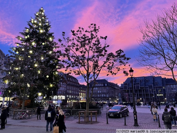 Arbol
Arbol navidad atardecer
