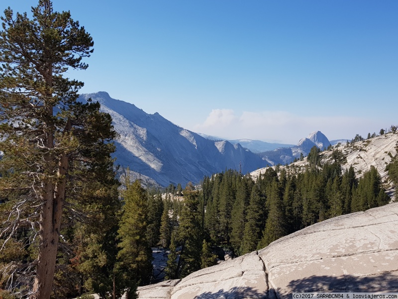 DÍA 8: Yosemite Park y San Francisco - Costa Oeste de EEUU 2017: Un sueño hecho realidad!! (2)