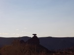 DÍA 4: Mexican Hat, Goosenecks State Park, Monument Valley y llegada a Las Vegas