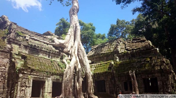 Día 7: Templos de Angkor II - Primer gran viaje: Vietnam Laos Camboya, Agosto 2014 (4)