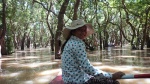 Floating Forest Kampong Plug, Siem Reap , Cambodia