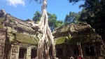 Por fin Angkor, (Dubái, Bali y Camboya), en construcción