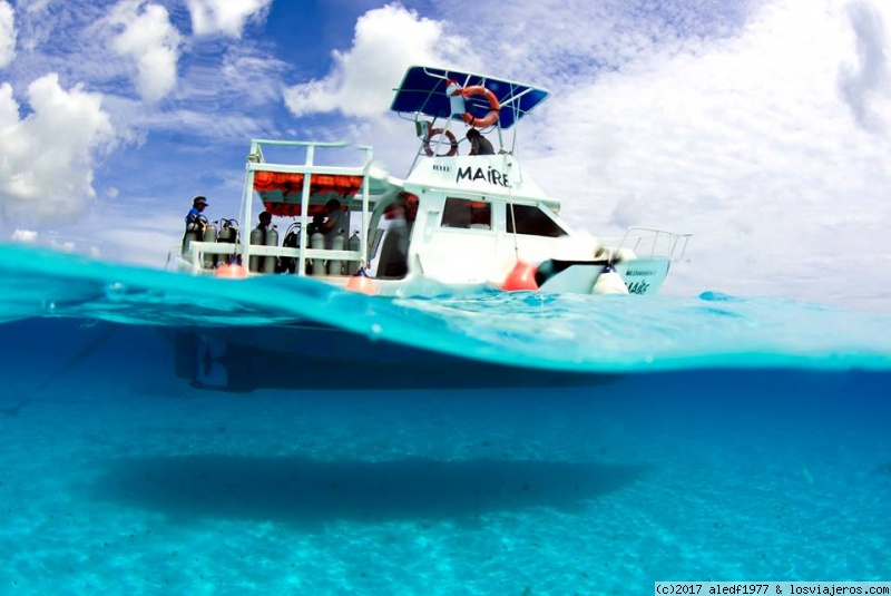 Buceo y snorkel en arrecife Colombia y Palancar -Cozumel, Riviera Maya