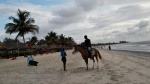 playas de gambia