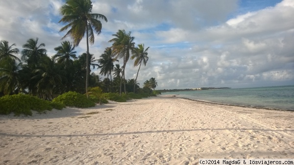 Playa Punta Cana
Playa virgen en Punta Cana. Ubicada proxima al Hotel Tortuga Bay.
Se puede hacer snorkel y ver caracolas de buen tamaño y tortugas pequeñas en estado natural.
Foto tomada el 12 de Mayo de 2014.
