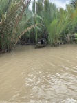 Delta Río Mekong
Delta, Río, Mekong, Barca, vegetación, delta, mekong