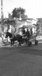 Cienfuegos
Cienfuegos, carro, caballo