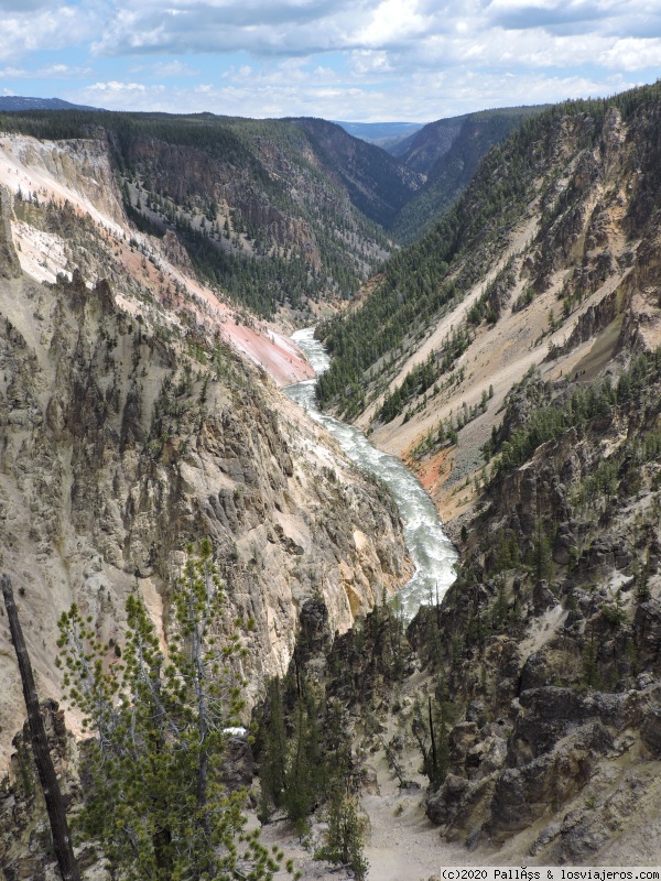 Sublime Point y Yellowstone lake - A Yellowstone en autocaravana (En Construcción) (3)