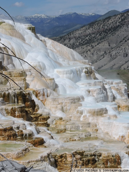 Mammoth Hot Spring
Terrazas de Mammoth Hot Spring en primer plano con las cumbres de Yellowstone al fondo
