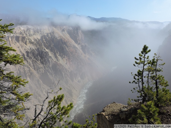 Gran Cañón de Yellowstone
Vista del Gran Cañon de Yellowstone a través de la niebla desde Sublime Point.
