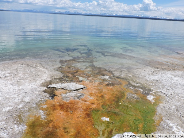 WestThumb Geyser Basin
WestThumb Geyser Basin, Yellowstone
