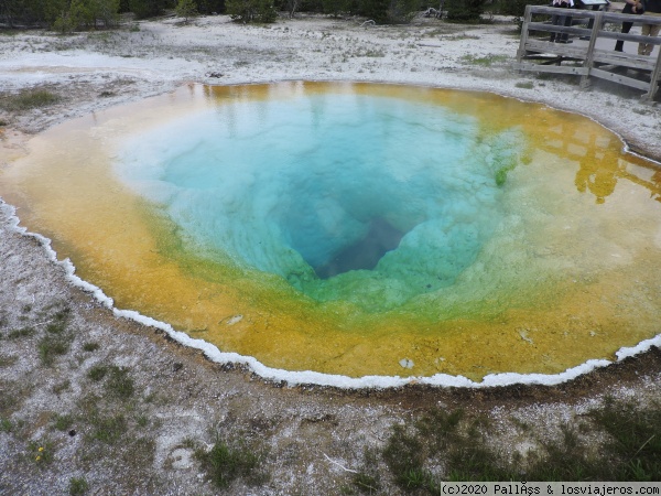 Morning Glory Pool
Morning Glory Pool, Yellowstone
