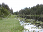 Lost Lake
Lost Lake, Yellowstone