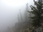 Niebla en Artist Point
Niebla, Artist, Point, Amanecer, Yellowstone, niebla