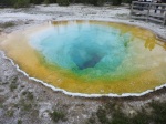 Morning Glory Pool
Morning, Glory, Pool, Yellowstone