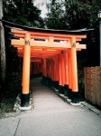 11. Castillo de Hikone y Fushimi Inari