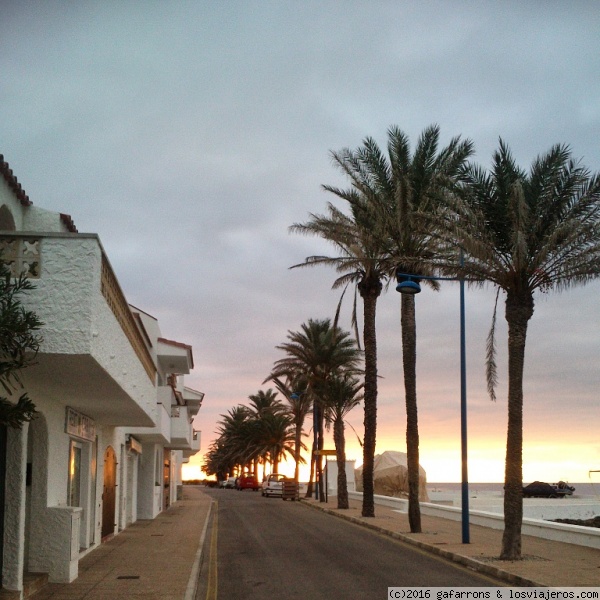 calle junto al mar
calle junto al mar, paseo y palmeras en un bonito pueblo de Menorca
