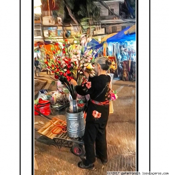 Mercado callejero Chinatow. Hanoi
Mercado callejero Chinatow. Hanoi Abuela florista, foto pintada, artistica, mercado nocturno
Mercado callejero Chinatow. Hanoi
Mercado callejero Chinatow. Hanoi Abuela florista, foto pintada, artistica, mercado nocturno