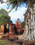 Templo en Sukhotai -
Parque histórico, ruinas, budas,