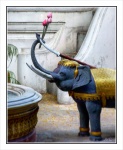 elephant in the temple Wat Chana Songkhram Rachawora Mahawiharn - Bangkok