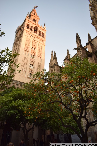 La Giralda, Sevilla.
Foto de la Giralda realizada desde el Patio de los Naranjos. Sevilla 2019.
