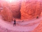 Bryce canyon