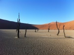 Deadvlei
Deadvalley Namibia