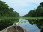 Cómo ir a Iquitos, en la selva amazónica