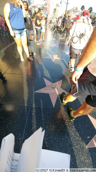 Walk of Fame
Walk of Fame
