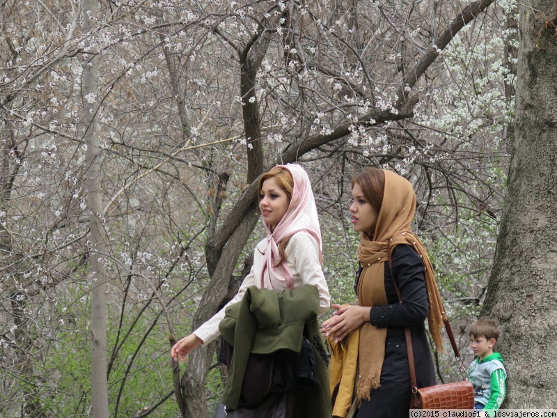 Viajar a  Iran: Hamed Irán - Cerezos en flor en Sa´adabad (Hamed Irán)