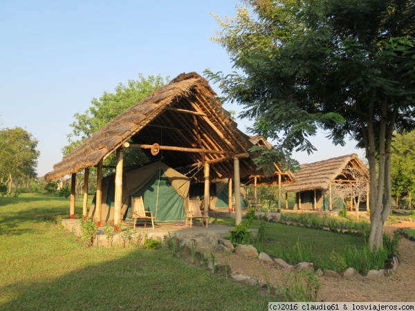 Nature Lodge en Murchison Falls National Park
Todos los lodges en los parques nacionales de Uganda tienen ademas de habitaciones, carpas amuebladas con cama, mesas de luz, mosquitero,luz electrica, conexion para celulares y cargadores,servicio de sabanas, toallas, terraza con reposeras para sentarse; el baño y la duchas son compartidas
